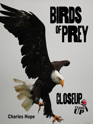 cover image of Birds of Prey CloseUp